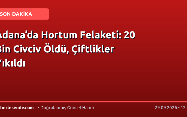 Adana’da Hortum Felaketi: 20 Bin Civciv Öldü, Çiftlikler Yıkıldı