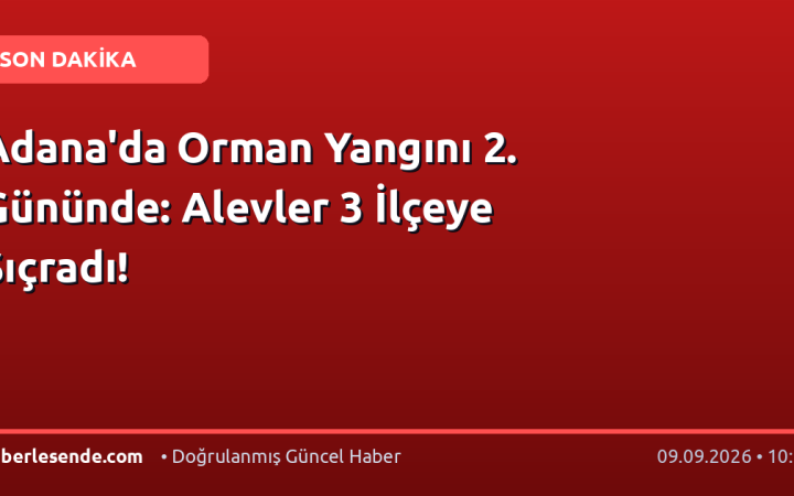 Adana'da Orman Yangını 2. Gününde: Alevler 3 İlçeye Sıçradı!