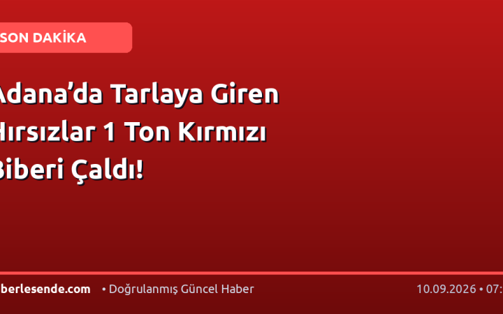 Adana’da Tarlaya Giren Hırsızlar 1 Ton Kırmızı Biberi Çaldı!