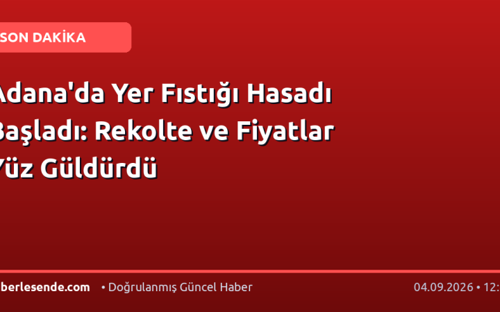Adana'da Yer Fıstığı Hasadı Başladı: Rekolte ve Fiyatlar Yüz Güldürdü