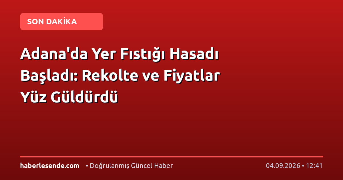 Adana'da Yer Fıstığı Hasadı Başladı: Rekolte ve Fiyatlar Yüz Güldürdü