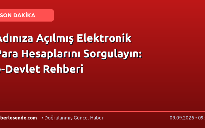 Adınıza Açılmış Elektronik Para Hesaplarını Sorgulayın: e-Devlet Rehberi