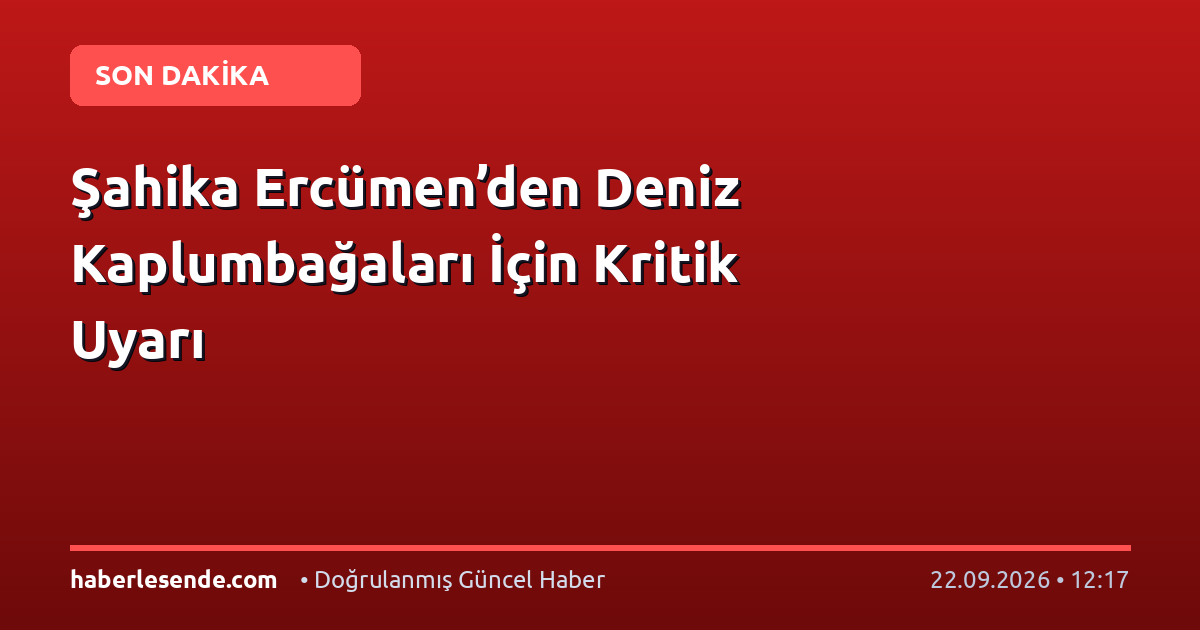 Şahika Ercümen’den Deniz Kaplumbağaları İçin Kritik Uyarı
