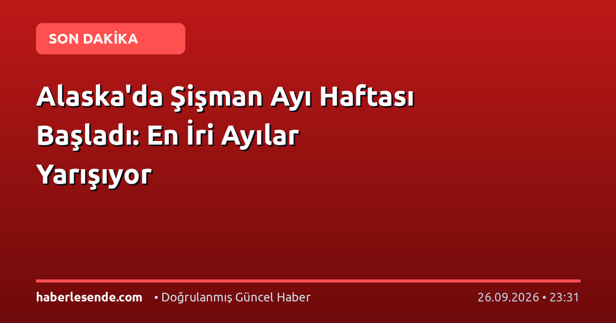 Alaska'da Şişman Ayı Haftası Başladı: En İri Ayılar Yarışıyor