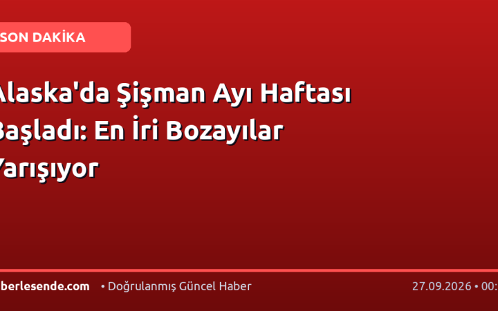 Alaska'da Şişman Ayı Haftası Başladı: En İri Bozayılar Yarışıyor
