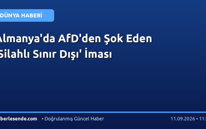 Almanya'da AfD'den Şok Eden 'Silahlı Sınır Dışı' İması