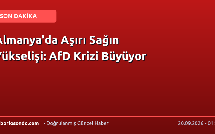Almanya'da Aşırı Sağın Yükselişi: AfD Krizi Büyüyor
