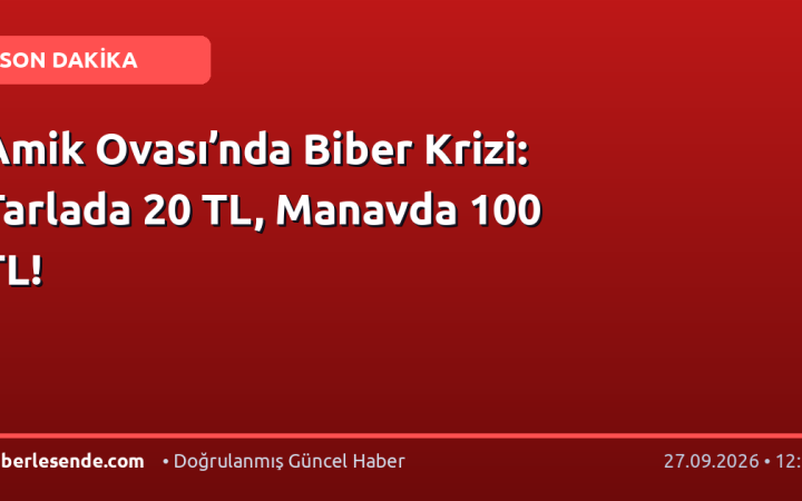 Amik Ovası’nda Biber Krizi: Tarlada 20 TL, Manavda 100 TL!
