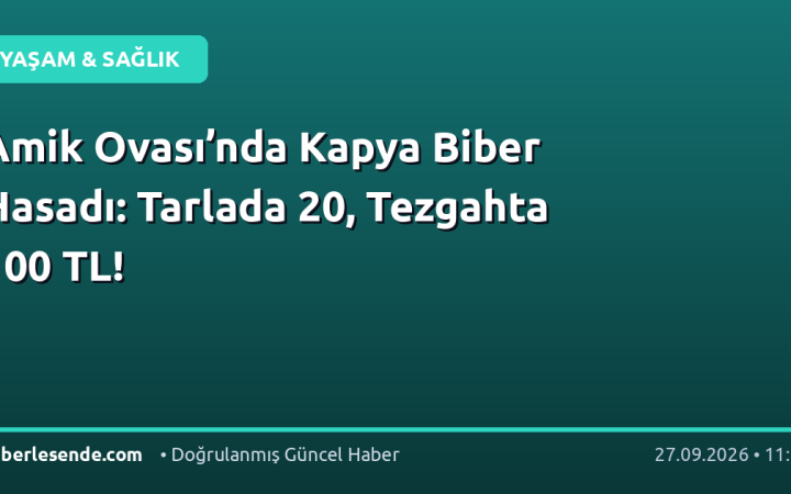 Amik Ovası’nda Kapya Biber Hasadı: Tarlada 20, Tezgahta 100 TL!