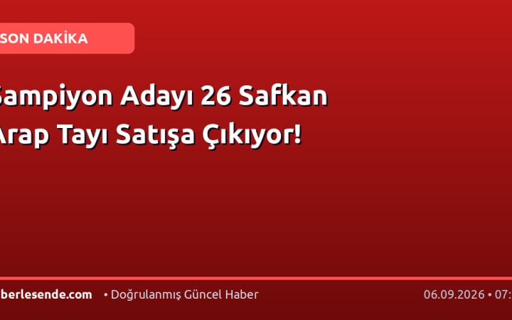 Şampiyon Adayı 26 Safkan Arap Tayı Satışa Çıkıyor!