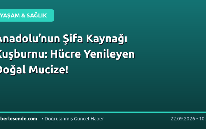 Anadolu’nun Şifa Kaynağı Kuşburnu: Hücre Yenileyen Doğal Mucize!