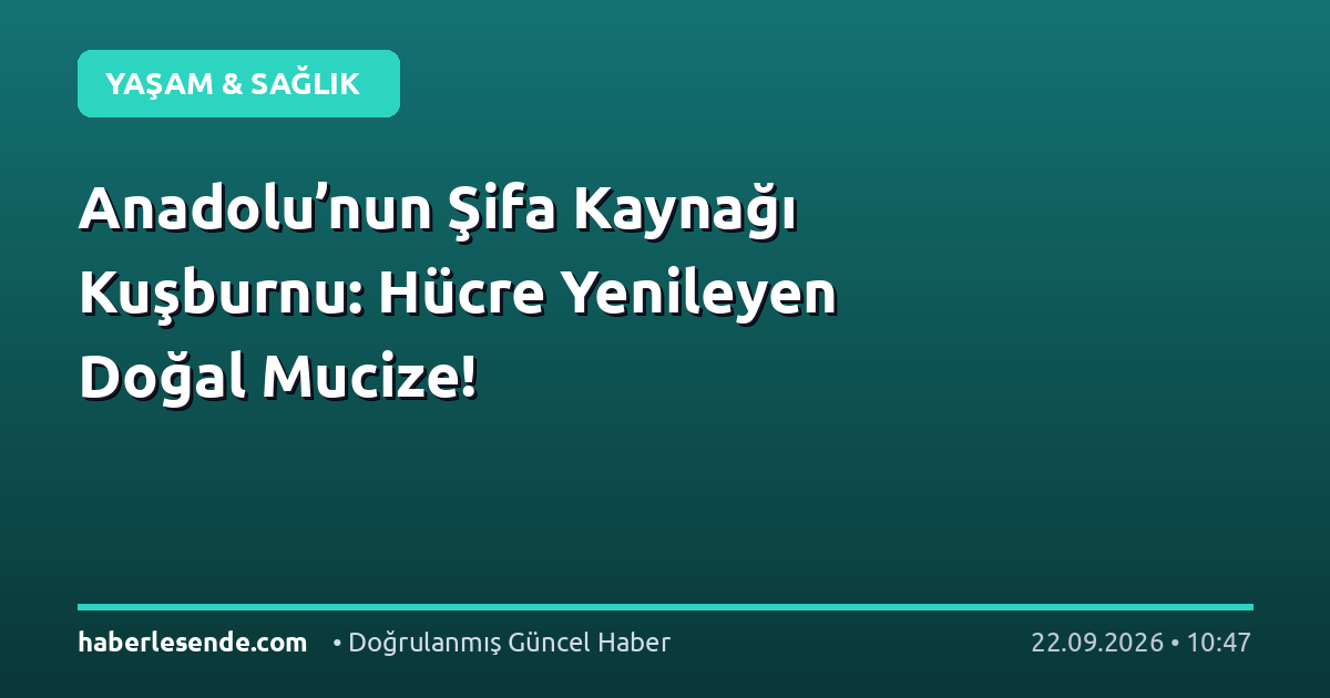 Anadolu’nun Şifa Kaynağı Kuşburnu: Hücre Yenileyen Doğal Mucize!