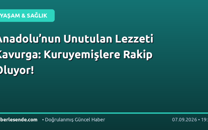 Anadolu’nun Unutulan Lezzeti Kavurga: Kuruyemişlere Rakip Oluyor!
