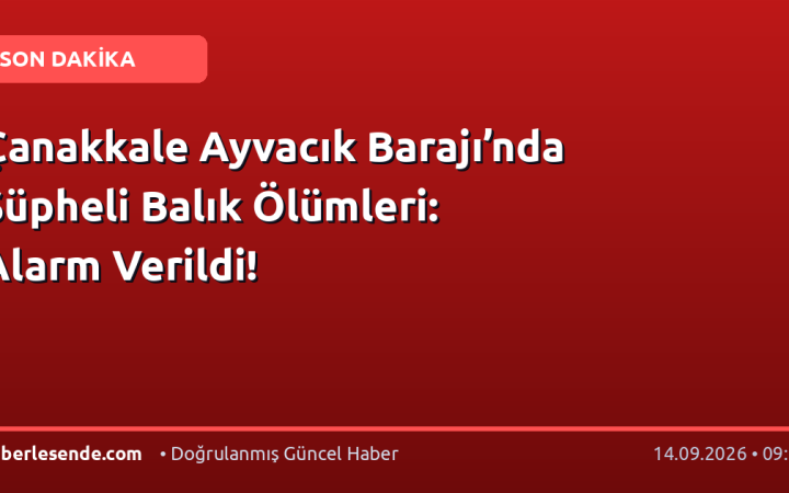 Çanakkale Ayvacık Barajı’nda Şüpheli Balık Ölümleri: Alarm Verildi!