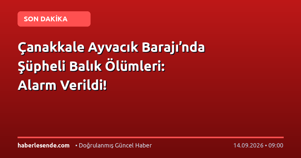 Çanakkale Ayvacık Barajı’nda Şüpheli Balık Ölümleri: Alarm Verildi!