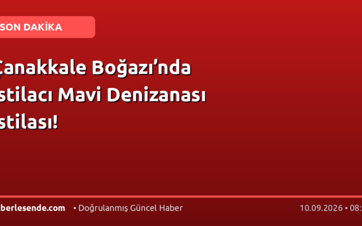Çanakkale Boğazı’nda İstilacı Mavi Denizanası İstilası!
