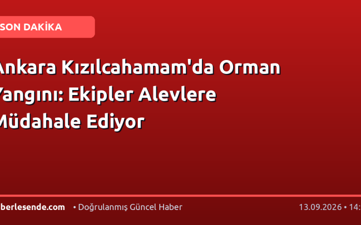 Ankara Kızılcahamam'da Orman Yangını: Ekipler Alevlere Müdahale Ediyor