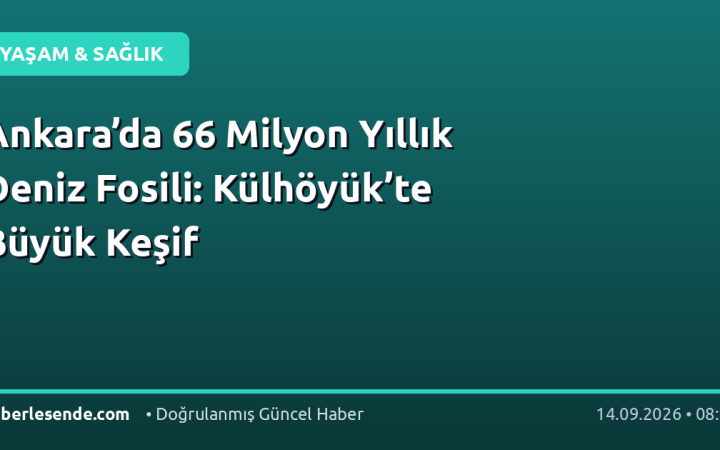 Ankara’da 66 Milyon Yıllık Deniz Fosili: Külhöyük’te Büyük Keşif