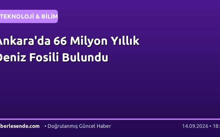 Ankara'da 66 Milyon Yıllık Deniz Fosili Bulundu