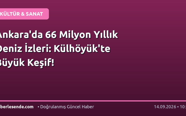 Ankara'da 66 Milyon Yıllık Deniz İzleri: Külhöyük'te Büyük Keşif!