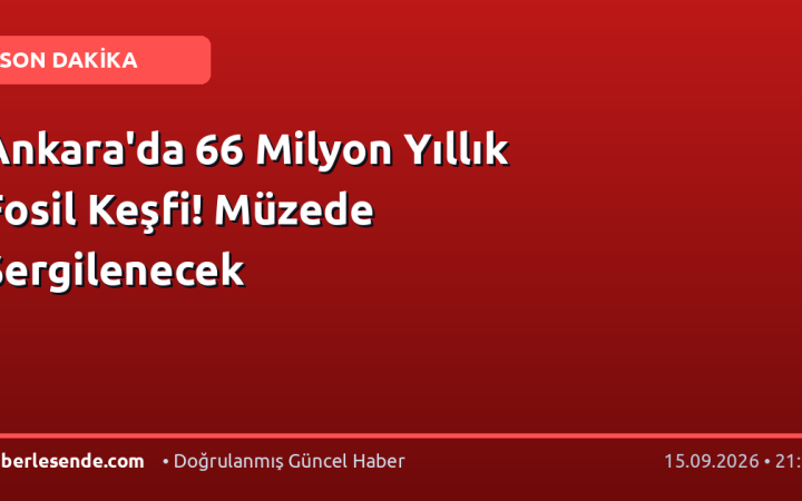 Ankara'da 66 Milyon Yıllık Fosil Keşfi! Müzede Sergilenecek