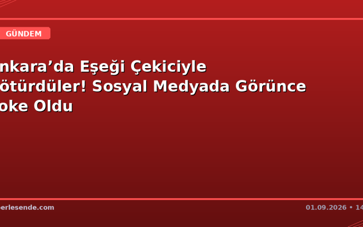 Ankara’da Eşeği Çekiciyle Götürdüler! Sosyal Medyada Görünce Şoke Oldu