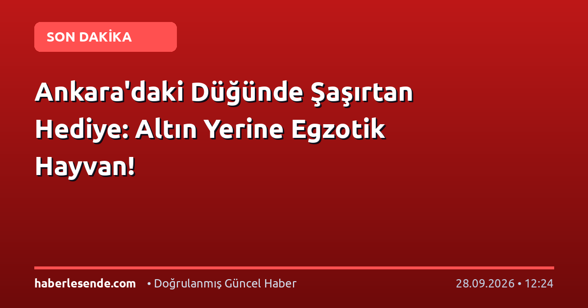 Ankara'daki Düğünde Şaşırtan Hediye: Altın Yerine Egzotik Hayvan!