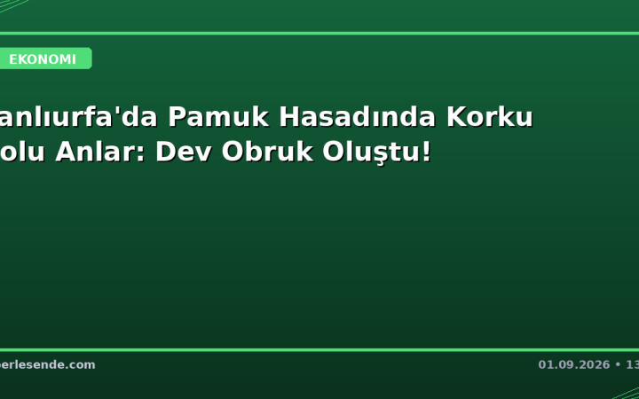 Şanlıurfa'da Pamuk Hasadında Korku Dolu Anlar: Dev Obruk Oluştu!