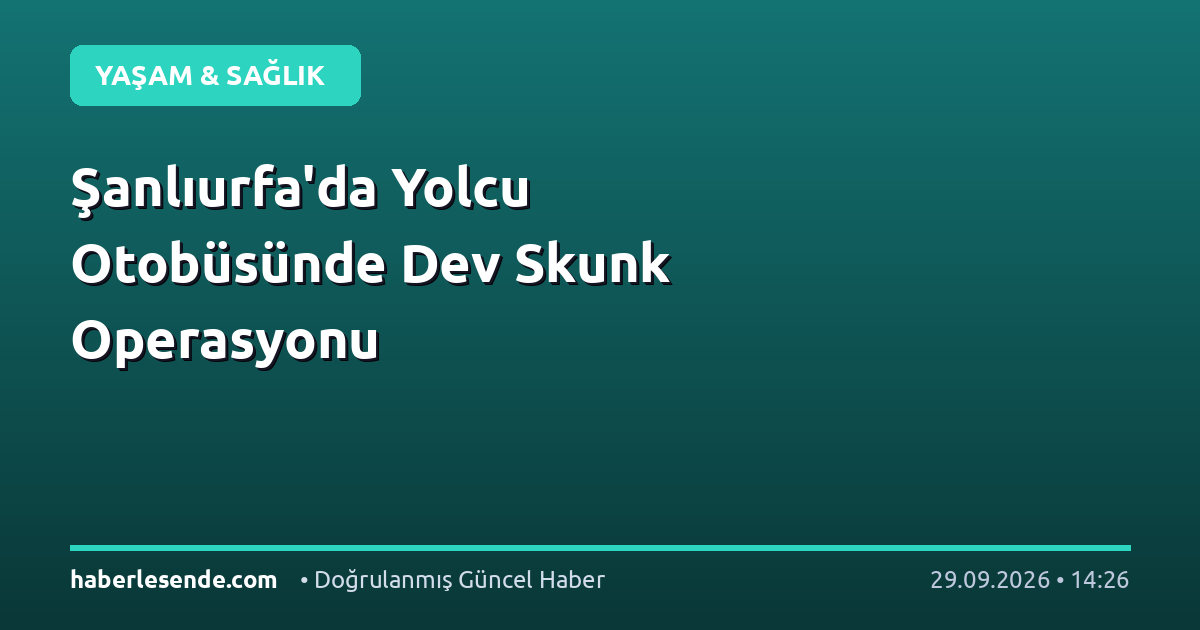 Şanlıurfa'da Yolcu Otobüsünde Dev Skunk Operasyonu