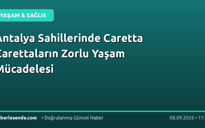 Antalya Sahillerinde Caretta Carettaların Zorlu Yaşam Mücadelesi