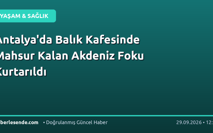 Antalya'da Balık Kafesinde Mahsur Kalan Akdeniz Foku Kurtarıldı