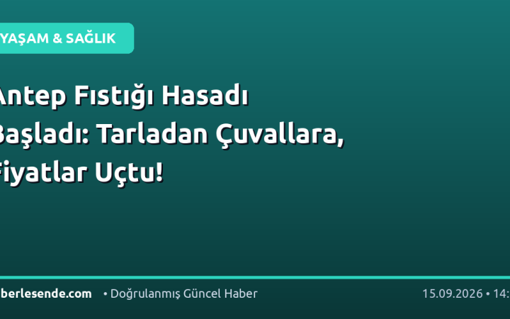 Antep Fıstığı Hasadı Başladı: Tarladan Çuvallara, Fiyatlar Uçtu!