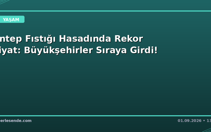 Antep Fıstığı Hasadında Rekor Fiyat: Büyükşehirler Sıraya Girdi!