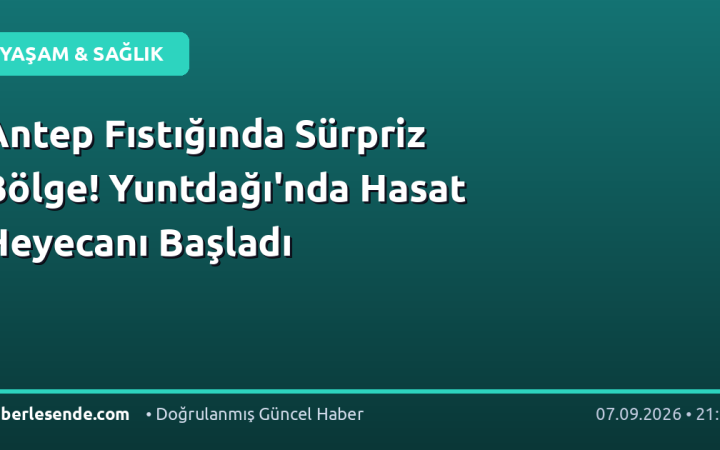 Antep Fıstığında Sürpriz Bölge! Yuntdağı'nda Hasat Heyecanı Başladı