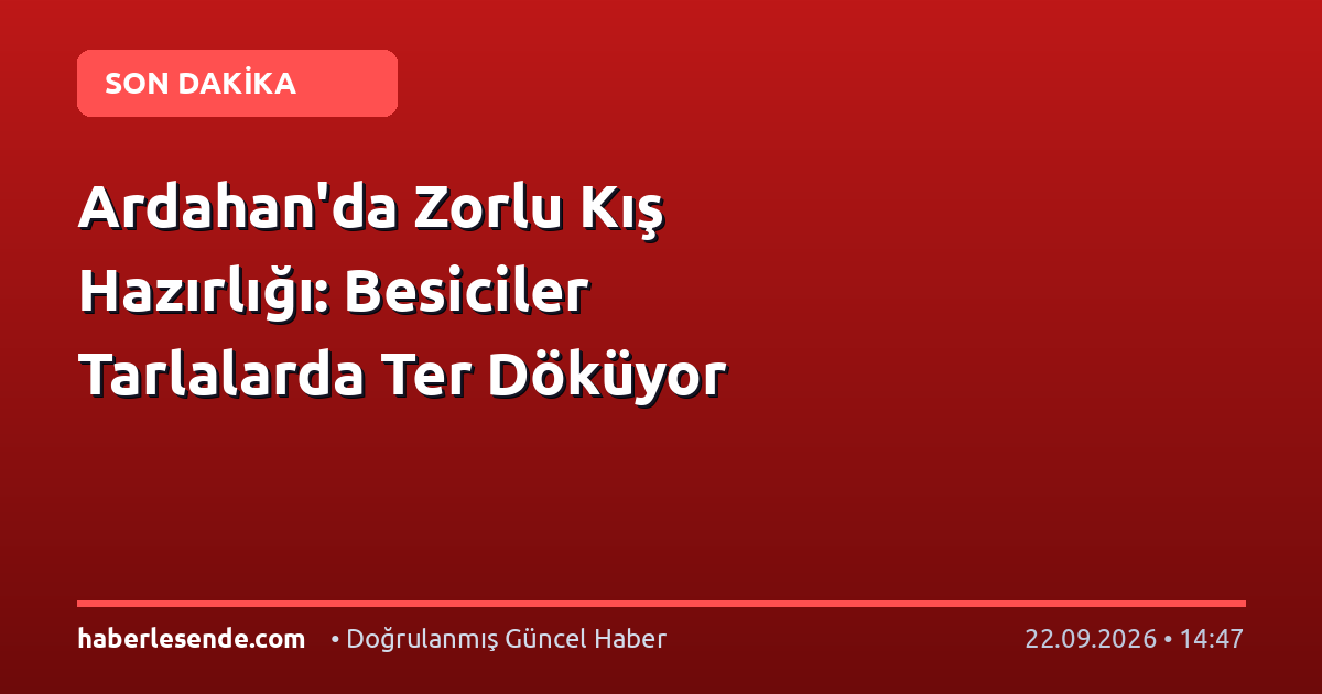Ardahan'da Zorlu Kış Hazırlığı: Besiciler Tarlalarda Ter Döküyor