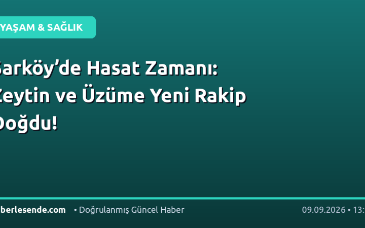 Şarköy’de Hasat Zamanı: Zeytin ve Üzüme Yeni Rakip Doğdu!
