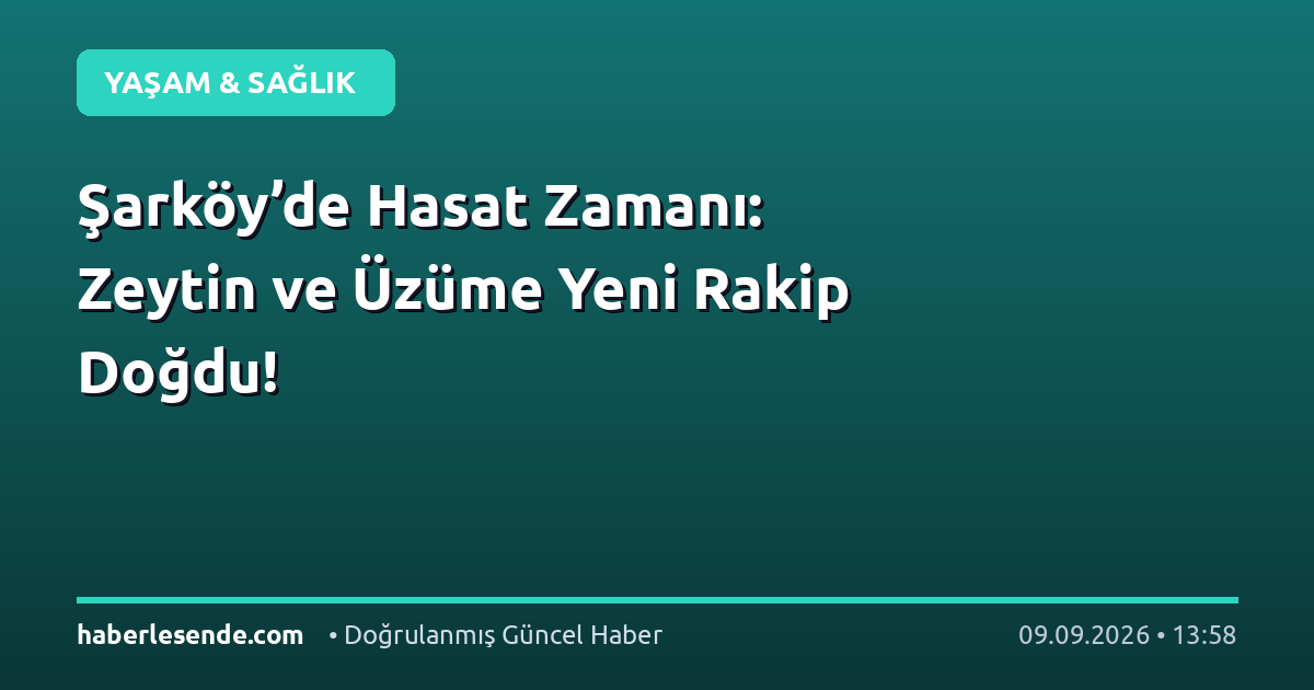 Şarköy’de Hasat Zamanı: Zeytin ve Üzüme Yeni Rakip Doğdu!