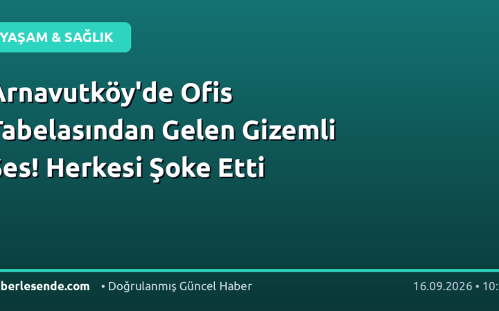 Arnavutköy'de Ofis Tabelasından Gelen Gizemli Ses! Herkesi Şoke Etti