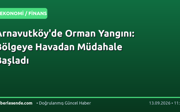 Arnavutköy'de Orman Yangını: Bölgeye Havadan Müdahale Başladı