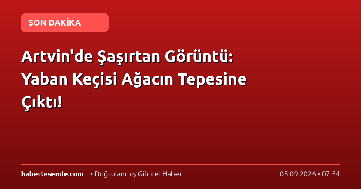Artvin'de Şaşırtan Görüntü: Yaban Keçisi Ağacın Tepesine Çıktı!