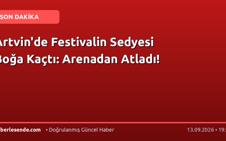 Artvin'de Festivalin Sedyesi Boğa Kaçtı: Arenadan Atladı!