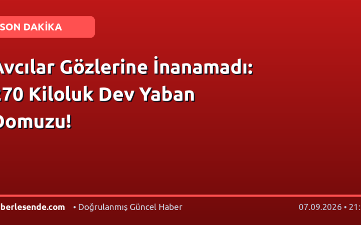 Avcılar Gözlerine İnanamadı: 270 Kiloluk Dev Yaban Domuzu!