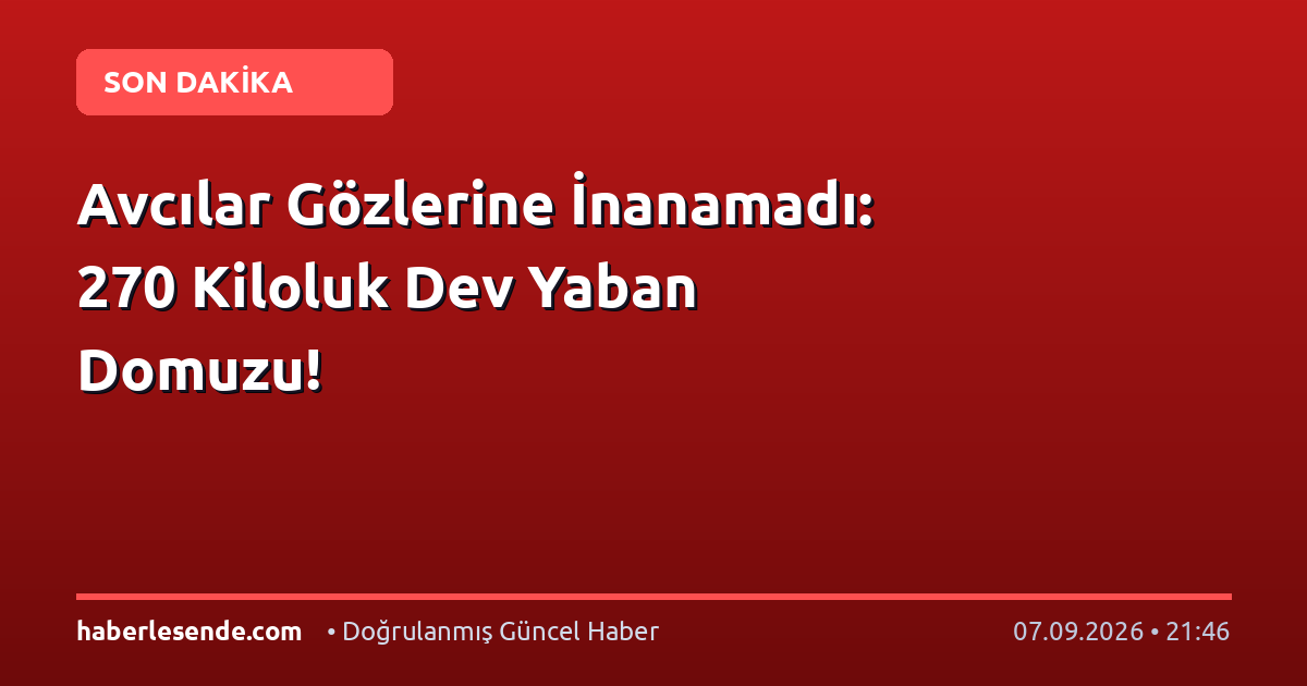 Avcılar Gözlerine İnanamadı: 270 Kiloluk Dev Yaban Domuzu!