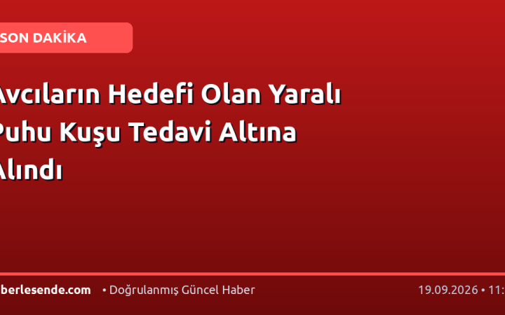 Avcıların Hedefi Olan Yaralı Puhu Kuşu Tedavi Altına Alındı
