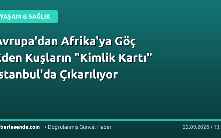 Avrupa'dan Afrika'ya Göç Eden Kuşların "Kimlik Kartı" İstanbul'da Çıkarılıyor