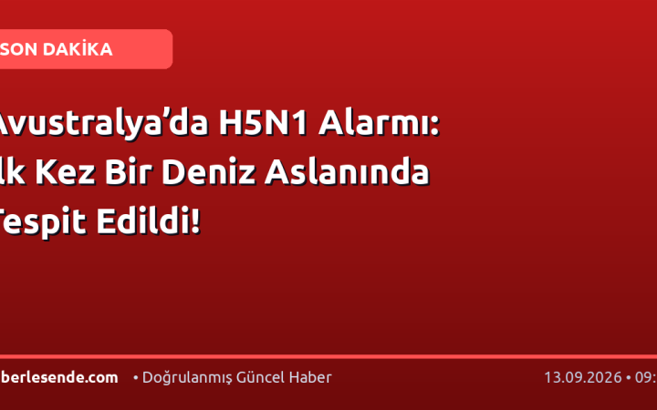 Avustralya’da H5N1 Alarmı: İlk Kez Bir Deniz Aslanında Tespit Edildi!