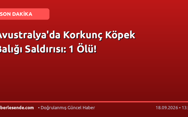 Avustralya'da Korkunç Köpek Balığı Saldırısı: 1 Ölü!