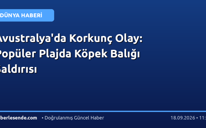 Avustralya'da Korkunç Olay: Popüler Plajda Köpek Balığı Saldırısı