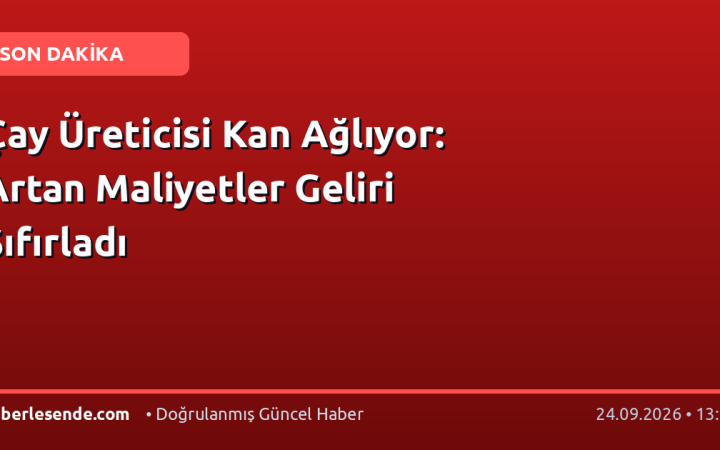 Çay Üreticisi Kan Ağlıyor: Artan Maliyetler Geliri Sıfırladı
