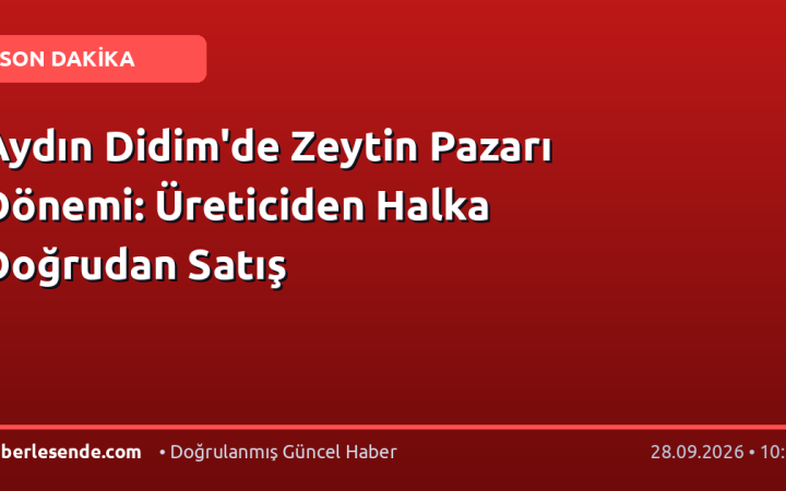 Aydın Didim'de Zeytin Pazarı Dönemi: Üreticiden Halka Doğrudan Satış
